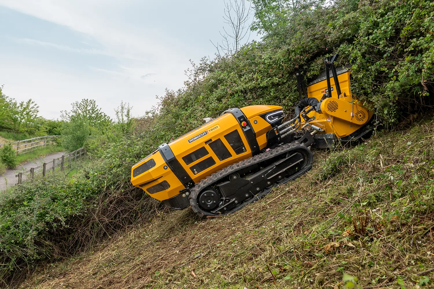 Robocut T600 & T800